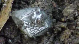 DSCF3975.webp