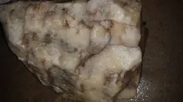 1487223014909.webp