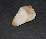 DSCN2129.webp