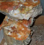 DSCN2133.webp