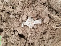 20170301_154448.webp