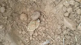 20170113_101219.webp