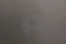 Foggy Point.webp