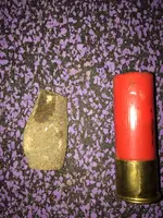 ImageUploadedByTreasureNet.com1488479407.196638.webp