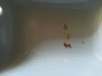 20170130_131655.webp