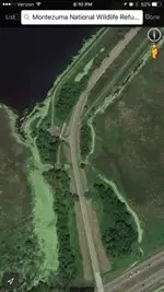 ImageUploadedByTreasureNet.com1483751710.997960.webp