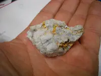 gld2.webp