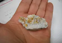 gld1.webp