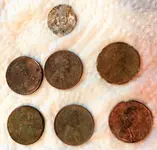 Pennies 1.webp