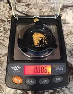 Au_weight_2-5-17.webp