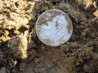 Mojave 4 Silver Coins 003.webp