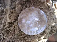 Mojave 4 Silver Coins 008.webp