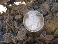 Mojave 4 Silver Coins 012.webp
