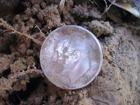 Mojave 4 Silver Coins 014.JPG