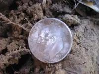 Mojave 4 Silver Coins 014.webp