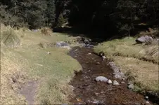 river1.webp