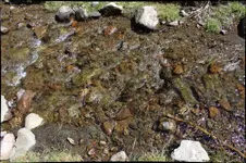 river2.webp