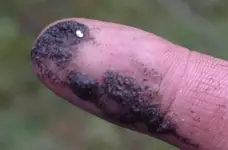 false_gold_finger.webp