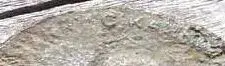 20170224_083450-crop.webp