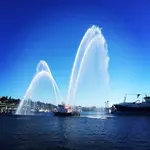 ImageUploadedByTreasureNet.com1486591370.790085.webp
