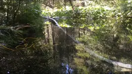 ImageUploadedByTreasureNet.com1483810982.629731.webp