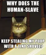 poopstealinghuman.webp