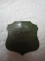 Charles Linberg Badge 005.webp