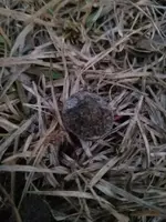 20170113_175658.webp 20170113_175658.webp