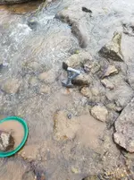 20170217_090221.webp