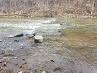 20170217_083306.webp