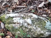 20170217_091310.webp