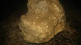 1486602166839.webp