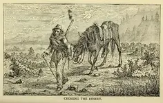 ALaCalif Crossing Desert.webp