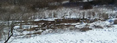 100_9822 - Copy.webp