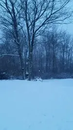 20170107_162044.webp