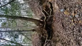 20170208_150826.webp