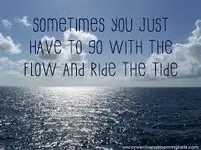 Go with the Flow.webp