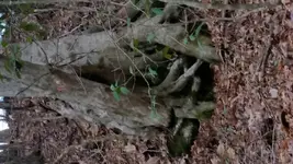 20170208_152459.webp