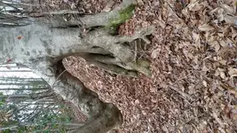 20170208_152606.webp