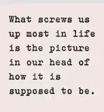 Picture of life.webp