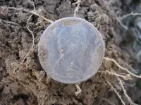 Mojave - 2 Broken Silver Rings 003.webp