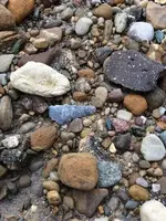 2017-01-12 11.47.04.webp