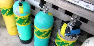 gases_cover.webp