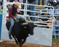 Rodeo462.webp