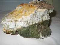 DSCN2164.webp