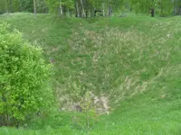 SDC10590.webp