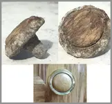 knob.webp
