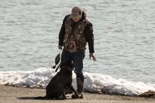 Obedience 2.webp