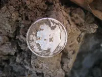 Fors Relic 3 Silver Coins & Ring 012.webp