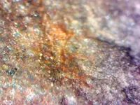 repro micro shot 1.webp repro micro shot 1.webp